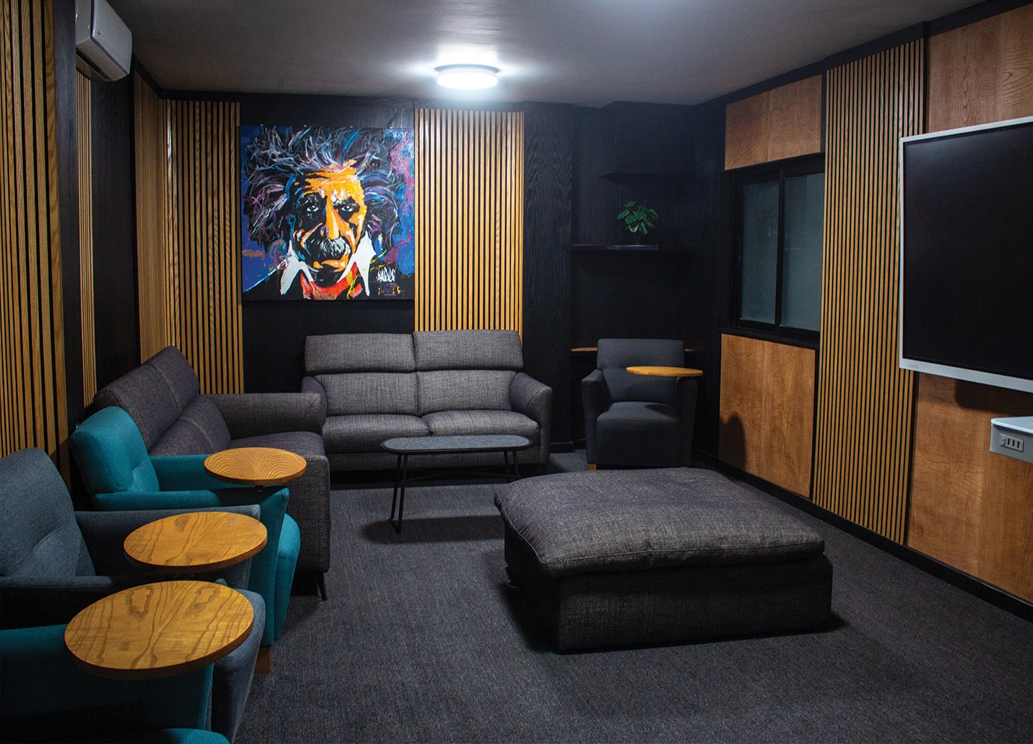 Sala de estar acogedora con sofás y sillones grises, una pintura de Albert Einstein en la pared, y una gran pantalla en la pared opuesta.